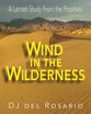 Wind in the Wilderness (Large Print)