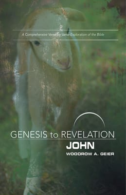John : A Comprehensive Verse-By-Verse Exploration of the Bible (Participant Book) (Genesis To Revelation Series)