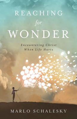 Reaching For Wonder: Encountering Christ When Life Hurts
