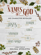 Names of God - Women's Bible Study: His Character Revealed (Participant Workbook)