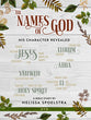 Names of God - Women's Bible Study (Dvd Ntsc)