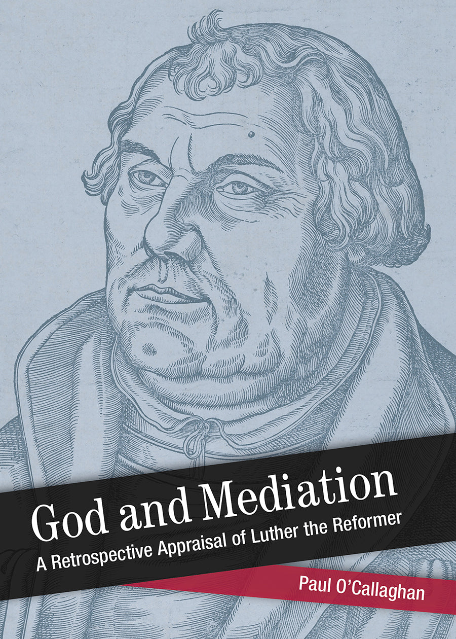 God and Mediation - Retrospective Appraisal of Luther the Reformer (Shapers Of Modern Theology Series)