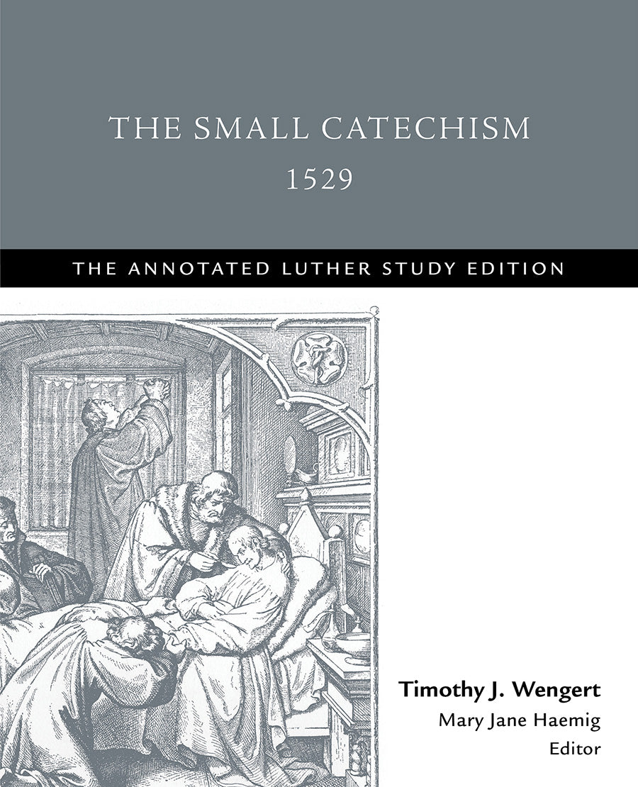 The Small Catechism 1529 (The Annotated Luther Series)
