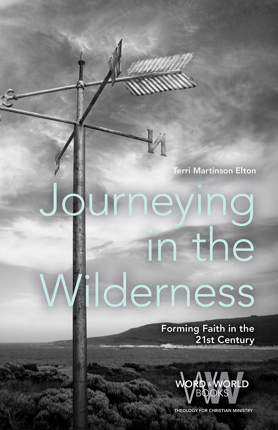 Journeying in the Wilderness: Forming Faith in the 21St Century (Word & World Series)