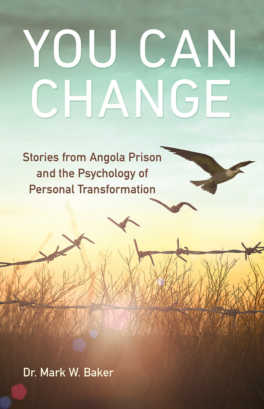You Can Change: Stories From Angola Prison and the Psychology of Personal Transformation
