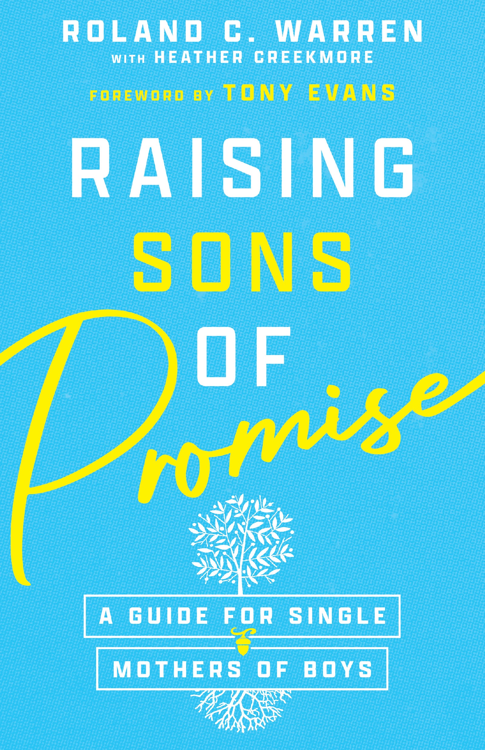Raising Sons of Promise: A Guide For Single Mothers of Boys
