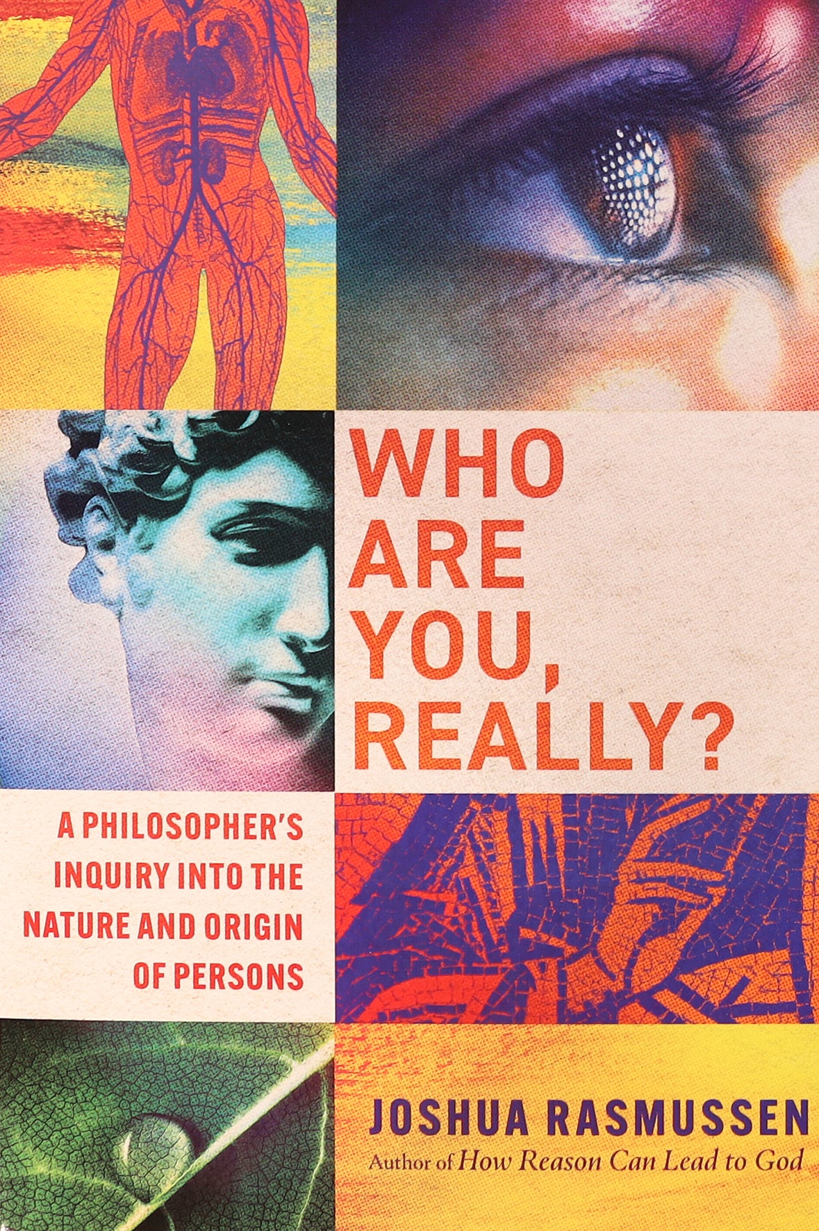 Who Are You, Really?: A Philosopher's Inquiry Into the Nature and Origin of Persons