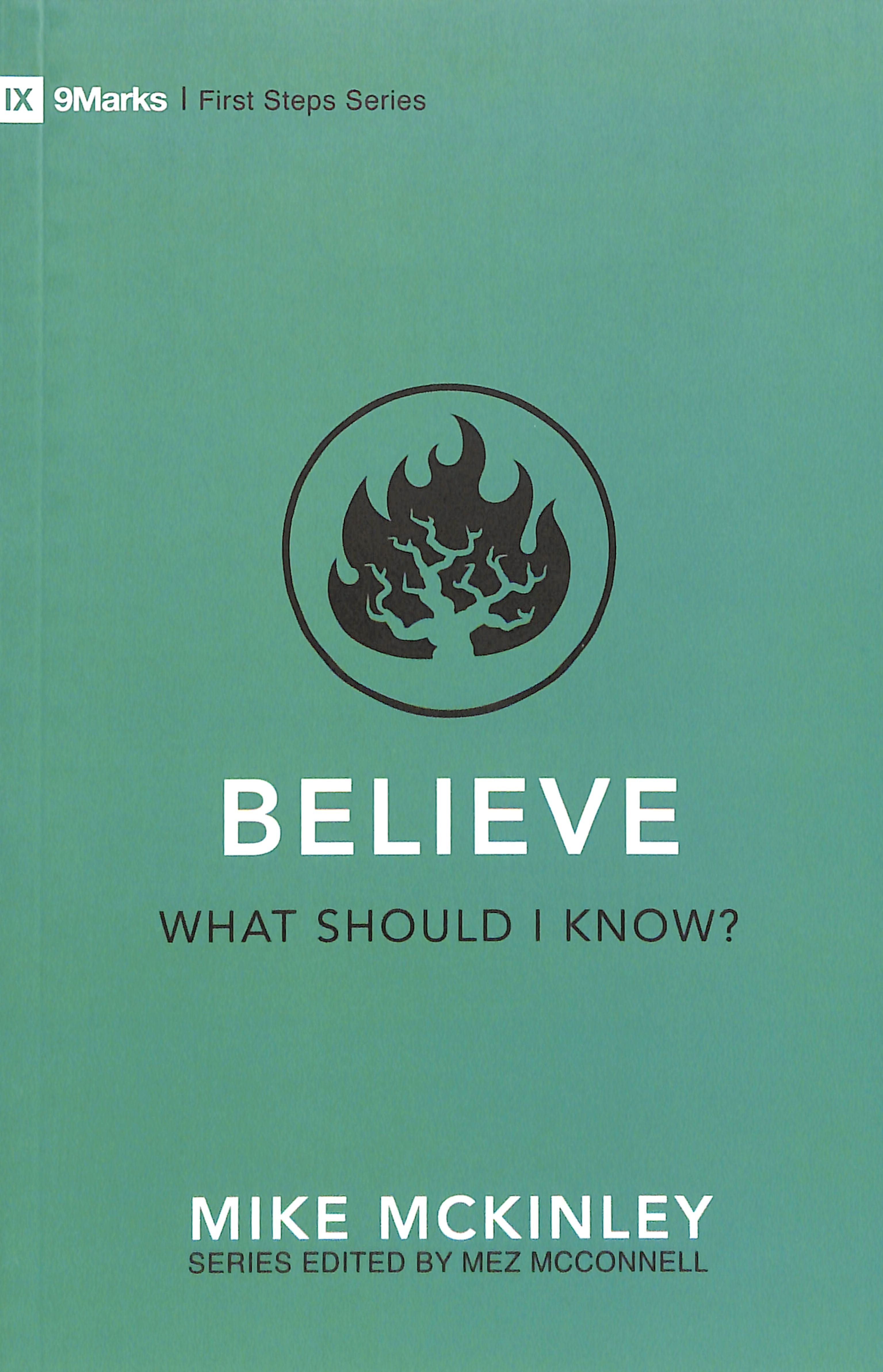 Believe: What Should I Know? (9marks First Steps Series)