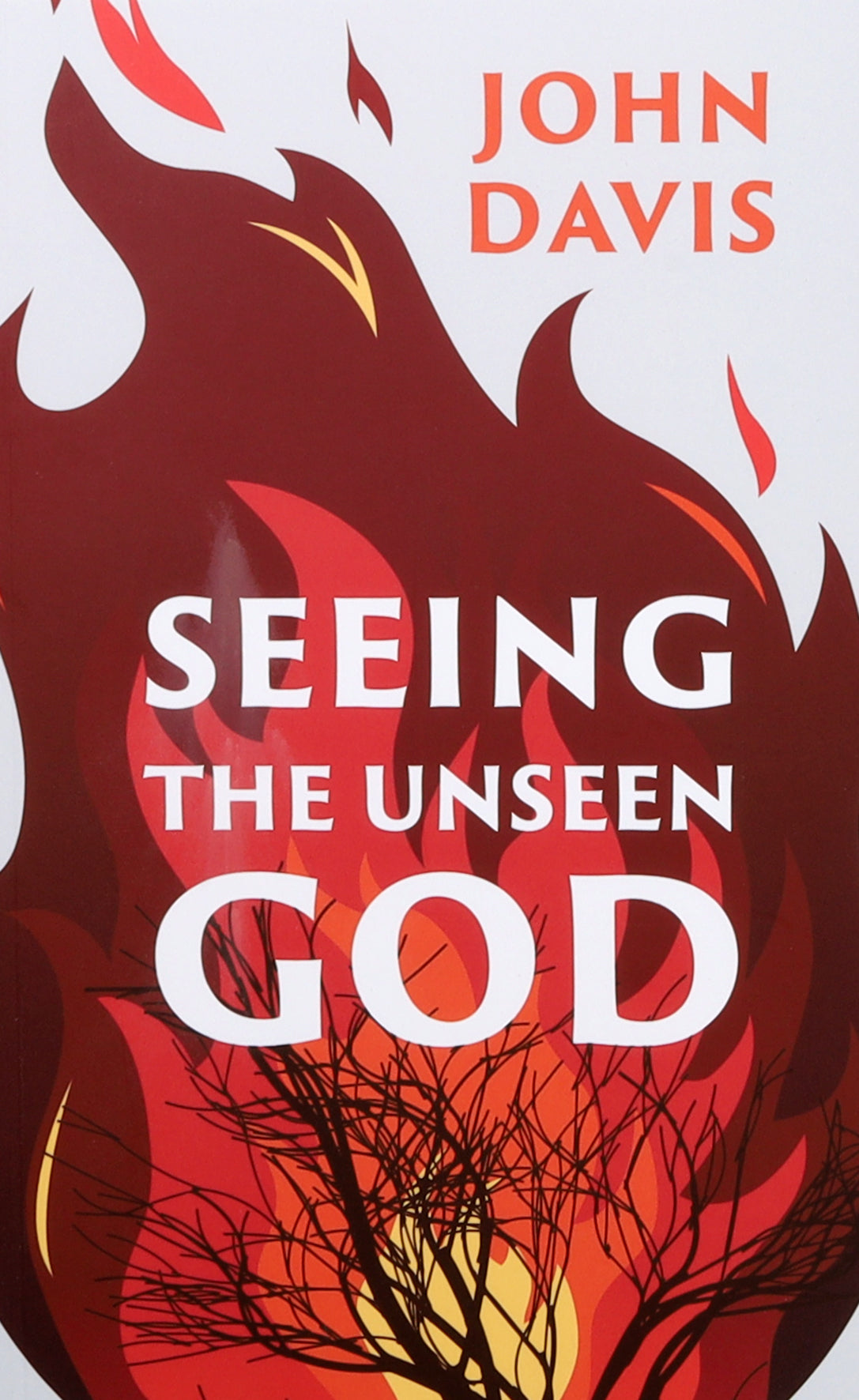 Seeing the Unseen God