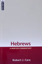 Hebrews (Mentor Commentary Series)