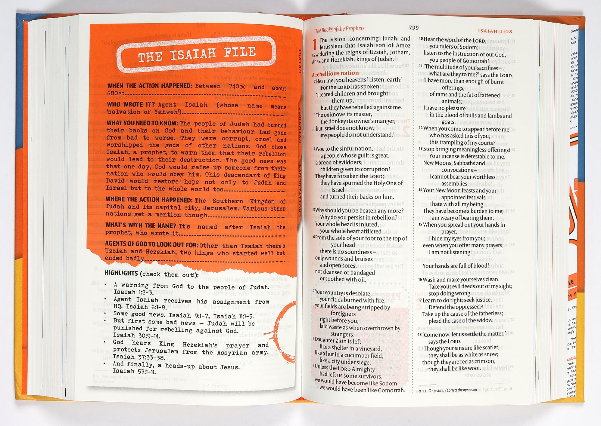 NIV the God Files Bible