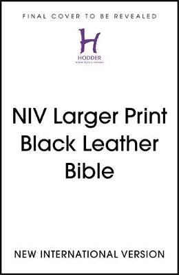 NIV Larger Print Bible