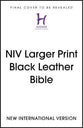 NIV Larger Print Bible