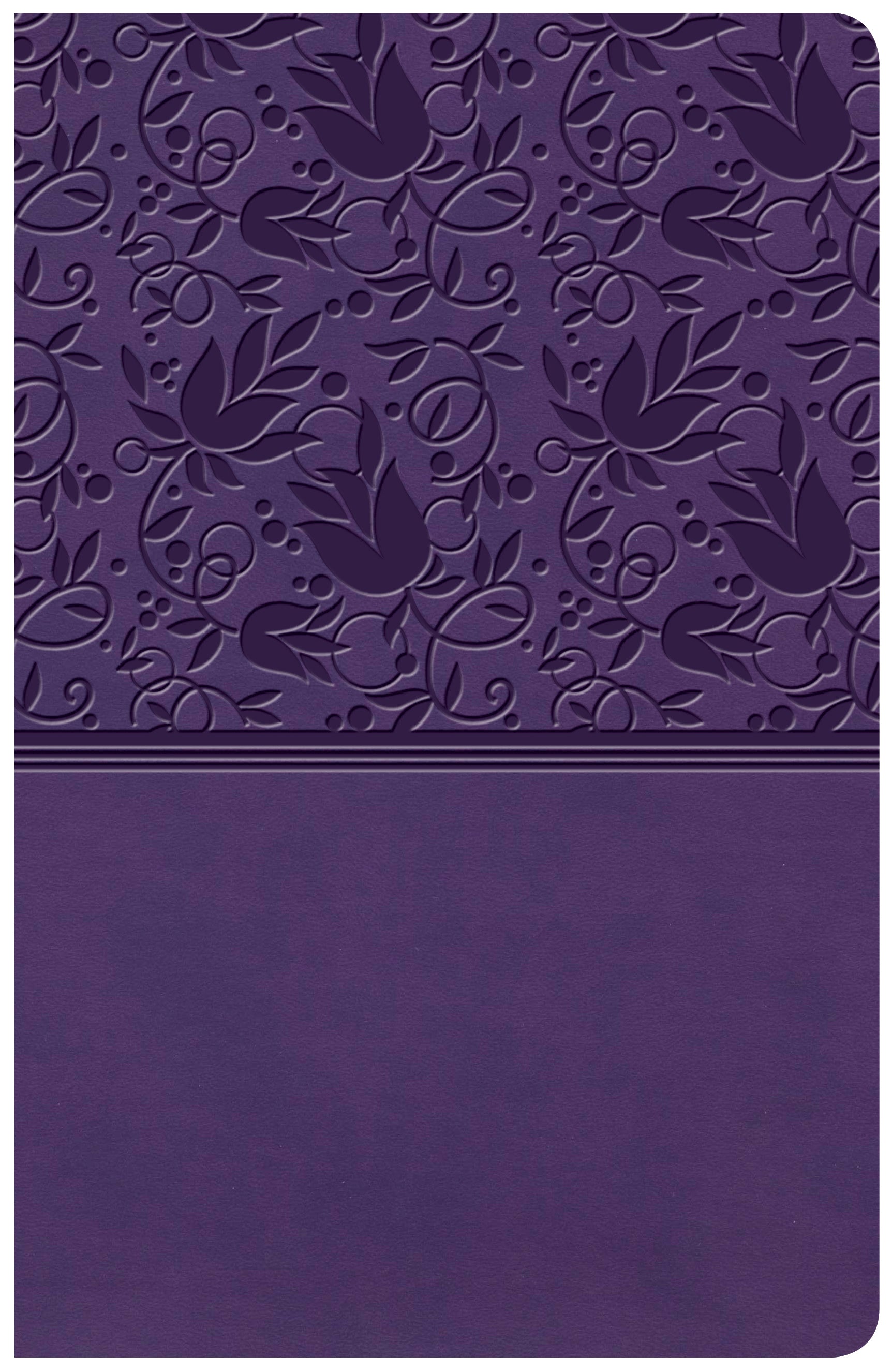 KJV Large Print Personal Size Reference Bible Purple Indexed (Red Letter Edition)