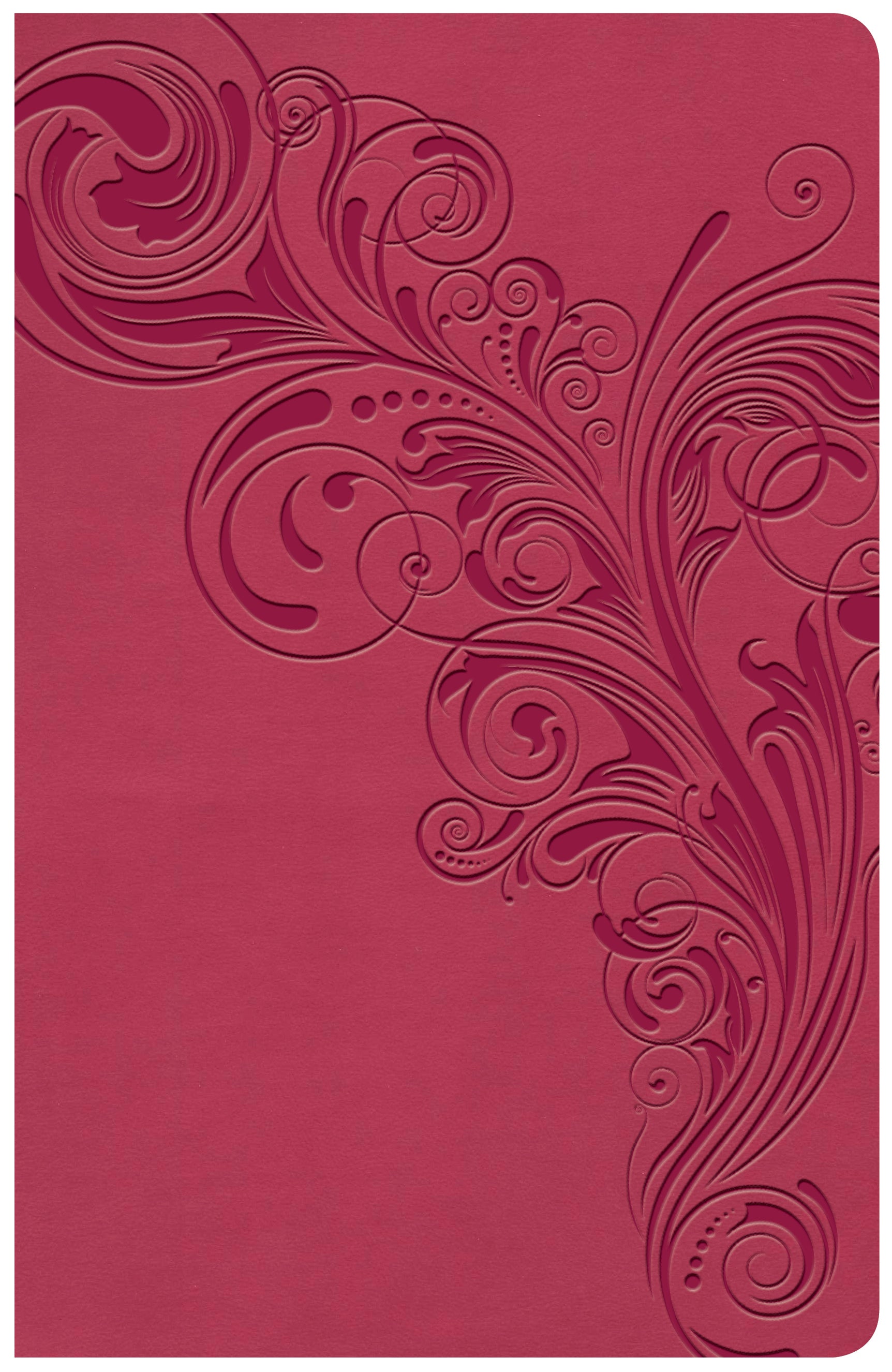 KJV Large Print Personal Size Reference Bible Pink (Red Letter Edition)