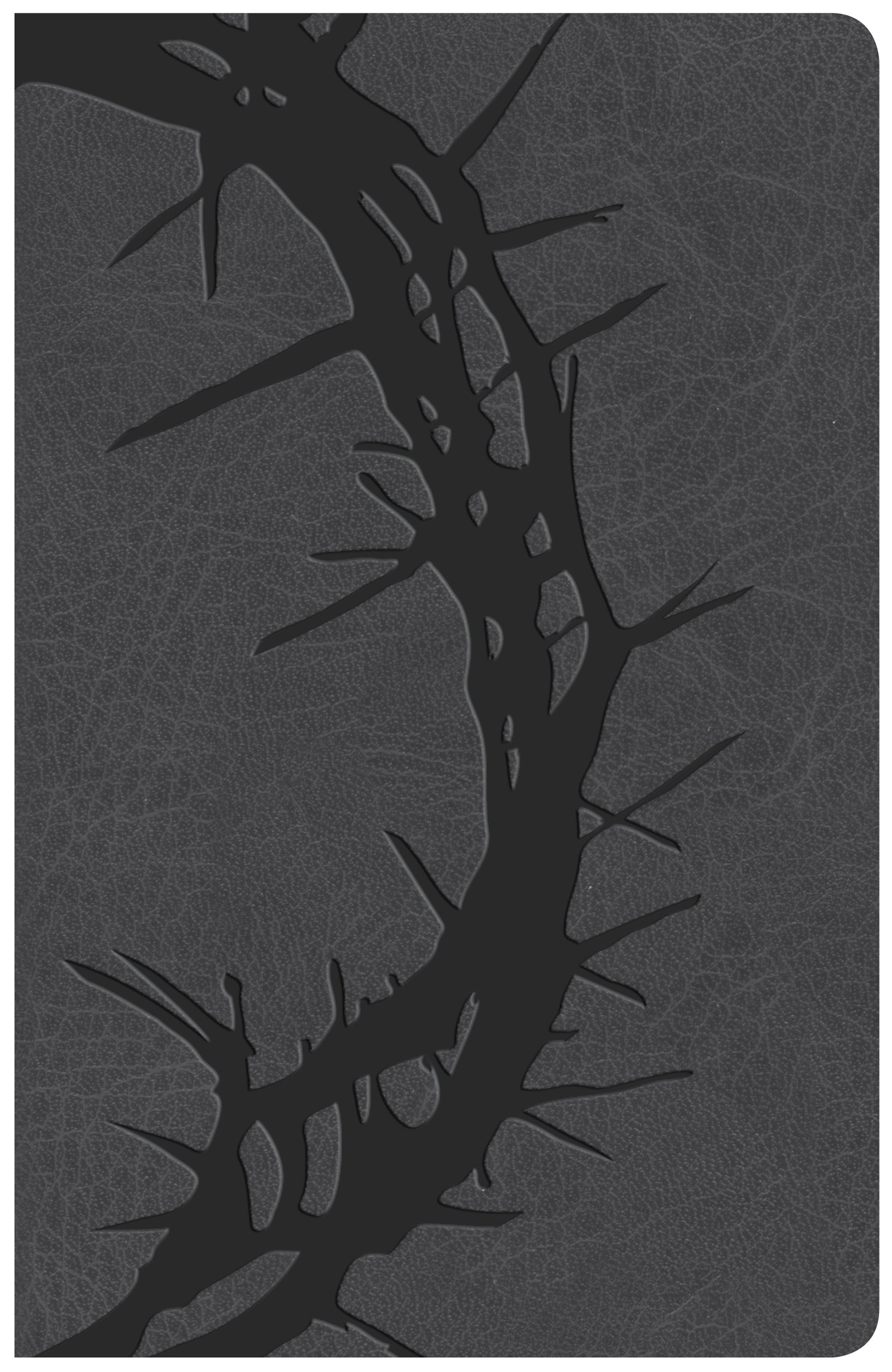 KJV Large Print Personal Size Reference Bible Charcoal (Red Letter Edition)