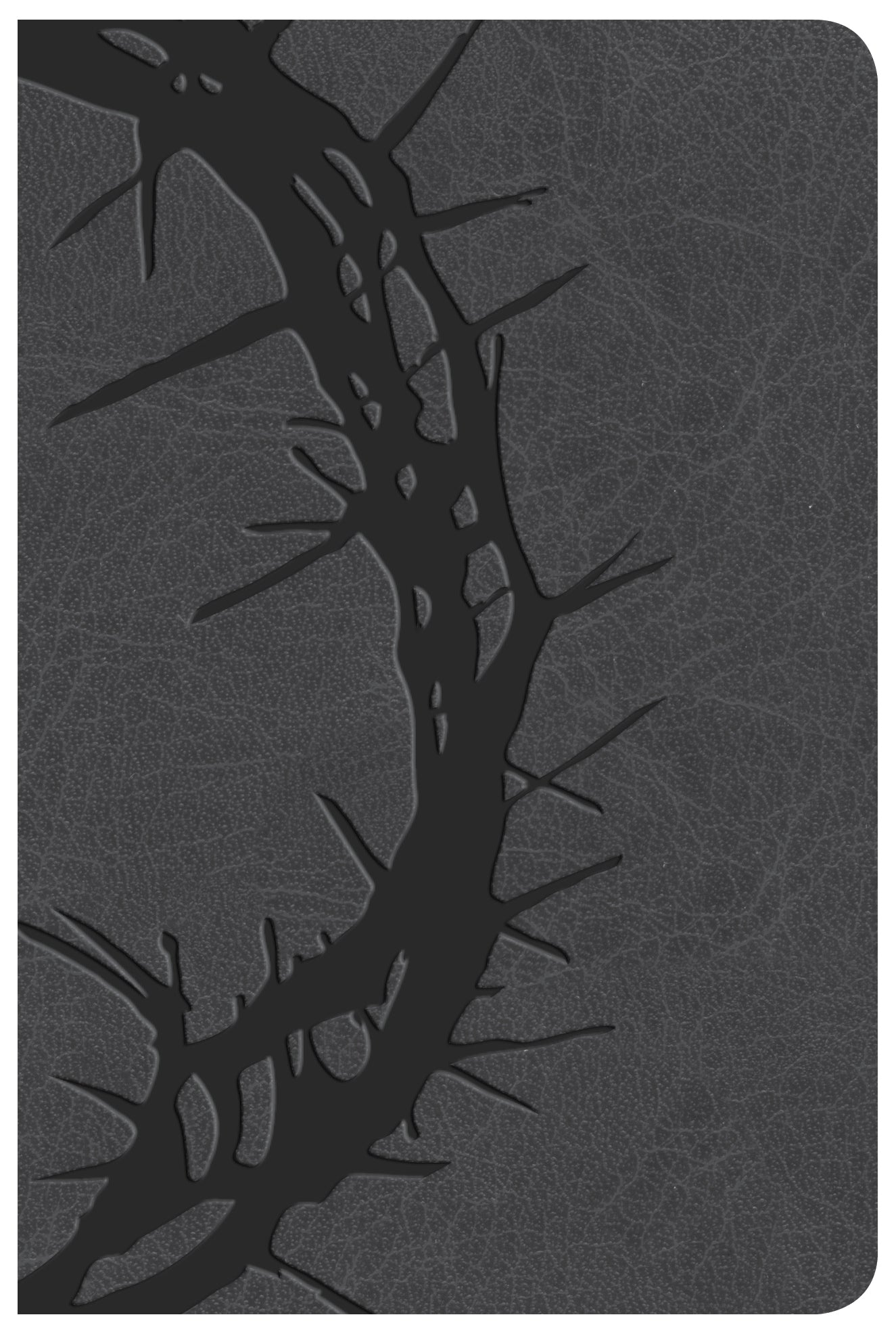 KJV Large Print Compact Reference Bible Charcoal (Red Letter Edition)