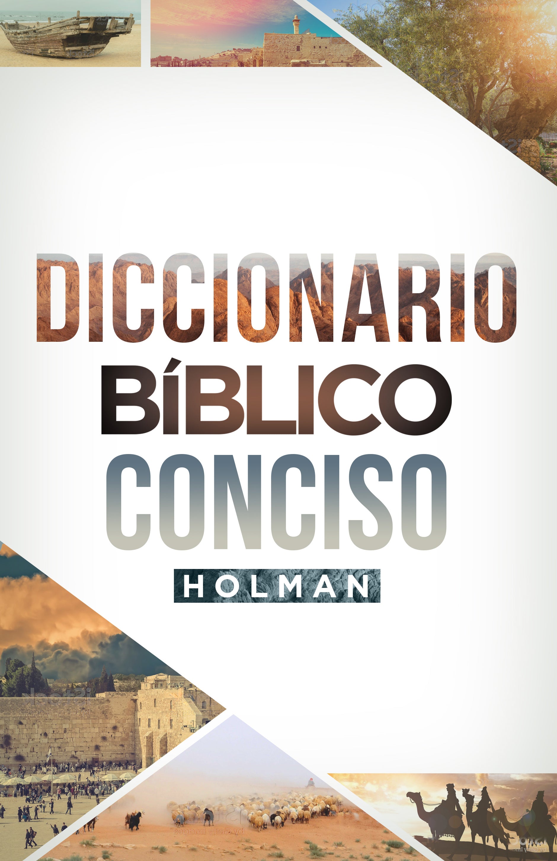 Diccionario Biblico Conciso Holman (Holman Concise Bible Dictionary) (Spanish)