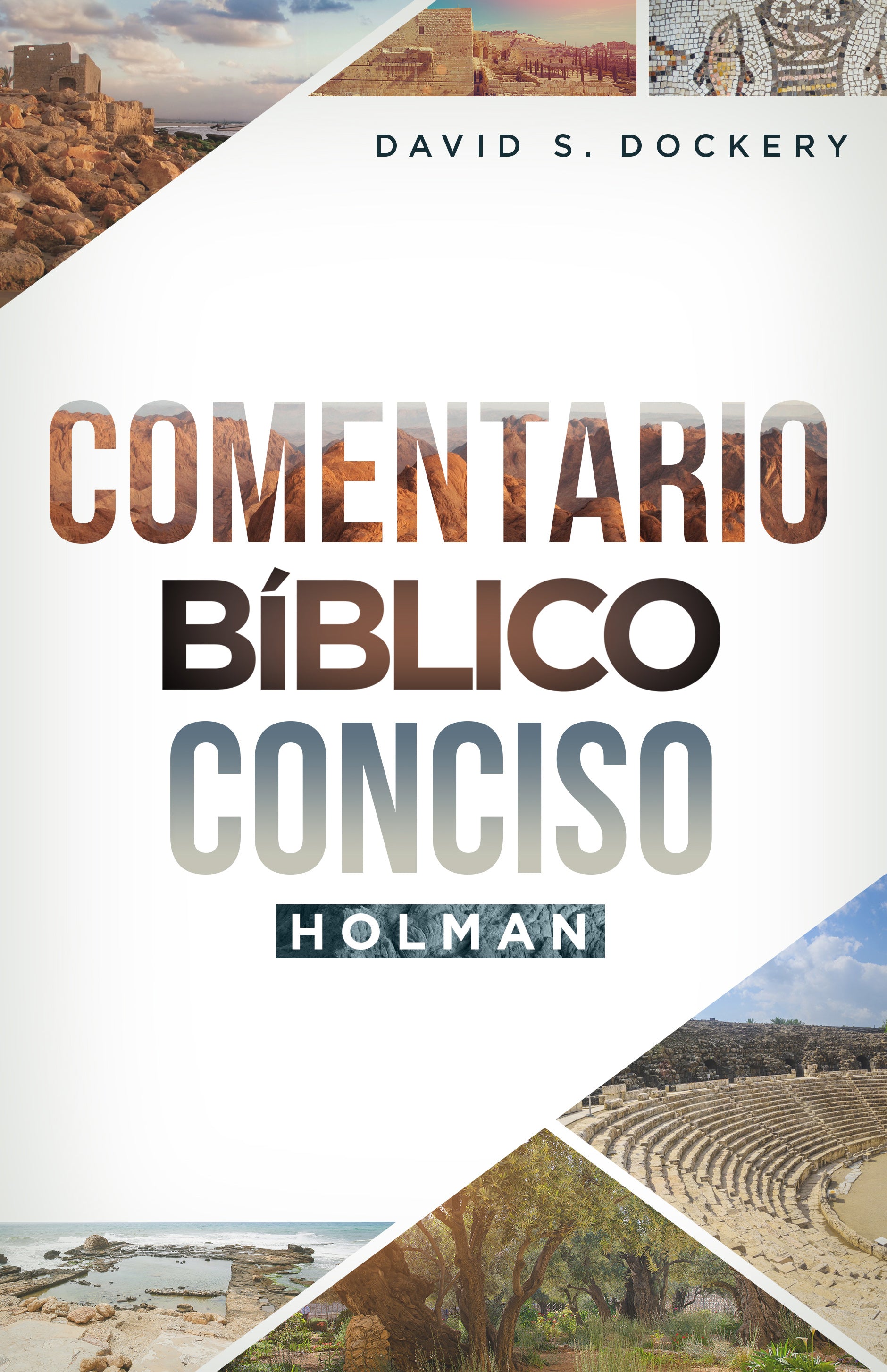 Comentario Biblico Conciso Holman (Holman Concise Bible Commentary) (Spanish)