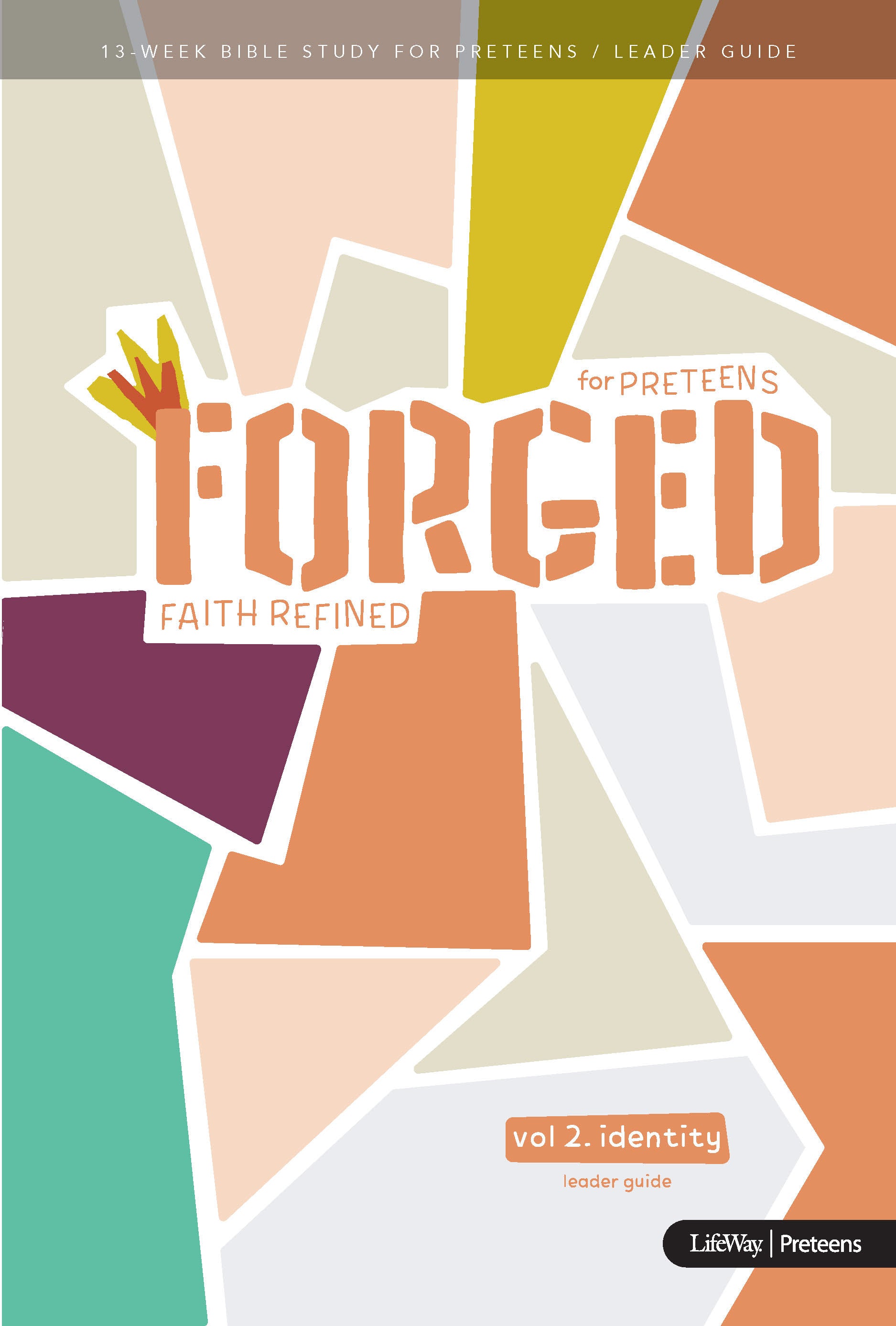 Identity (Leader Guide) (#02 in Forged Faith Refined Preteen Bible Study Series)