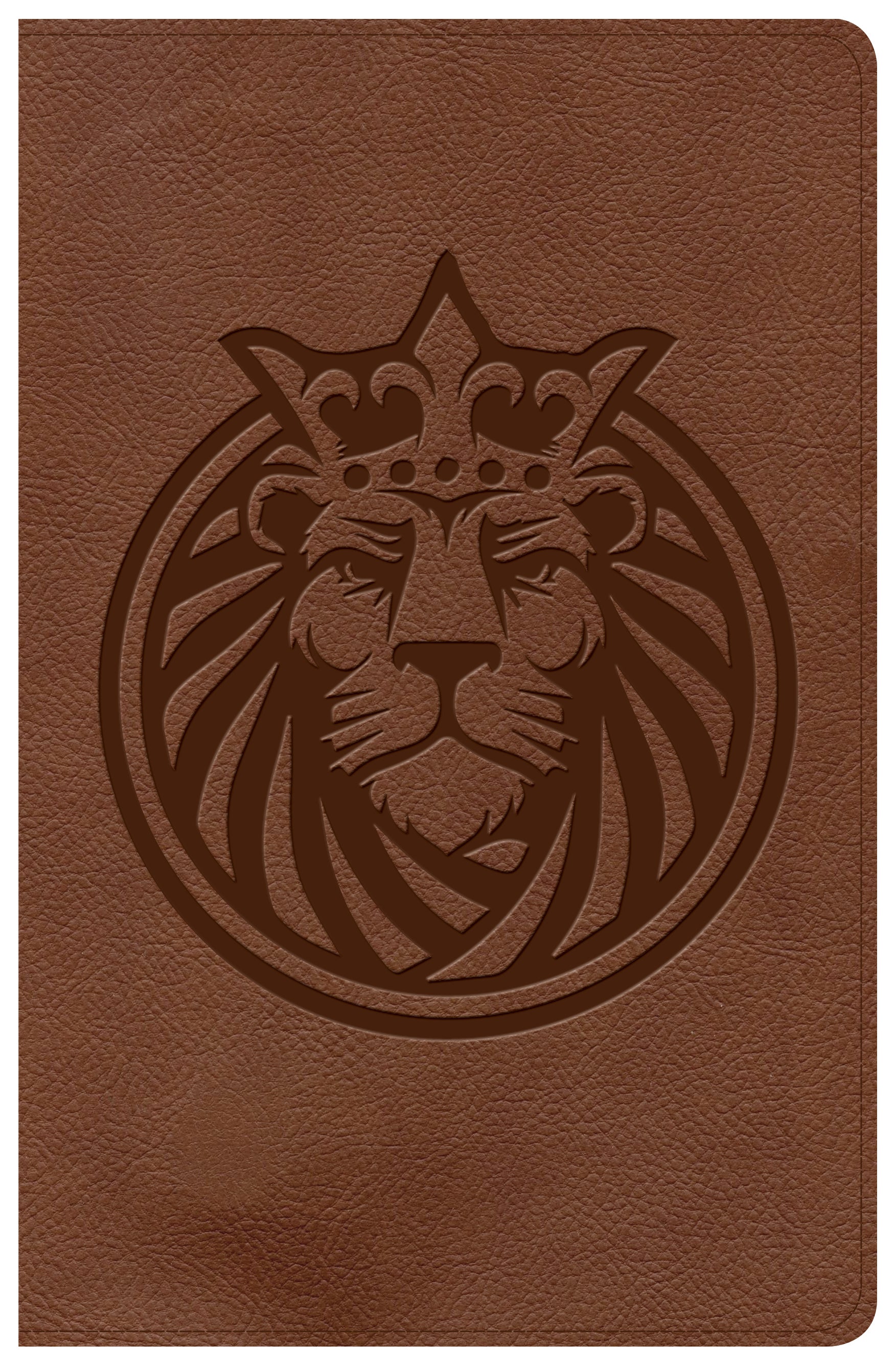 CSB Kids Bible Lion