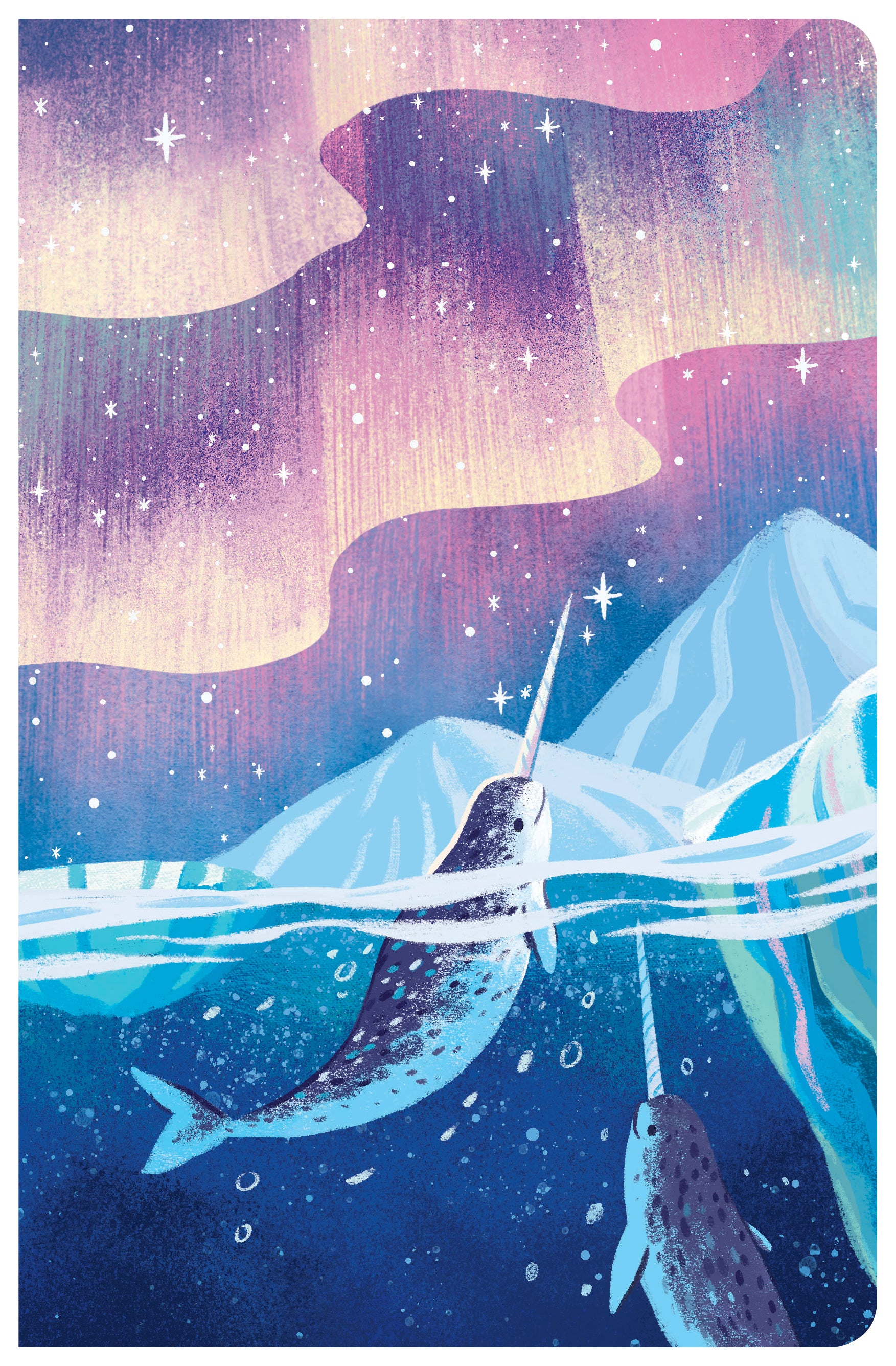 CSB Kids Bible Narwhal