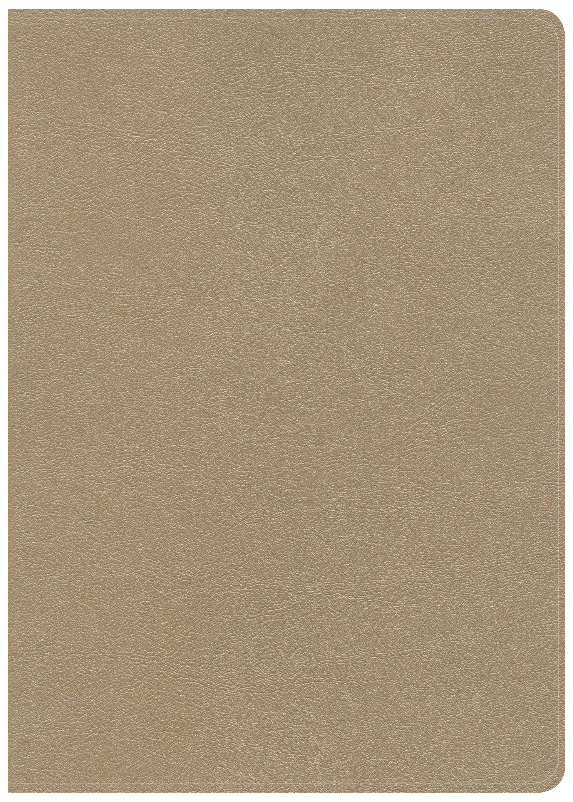 CSB She Reads Truth Bible Champagne Indexed