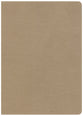 CSB She Reads Truth Bible Champagne Indexed