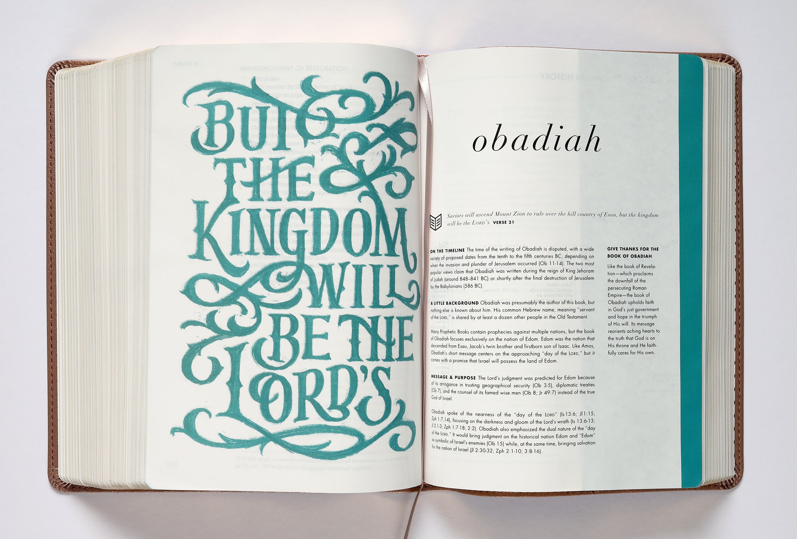 CSB She Reads Truth Bible Rose Gold