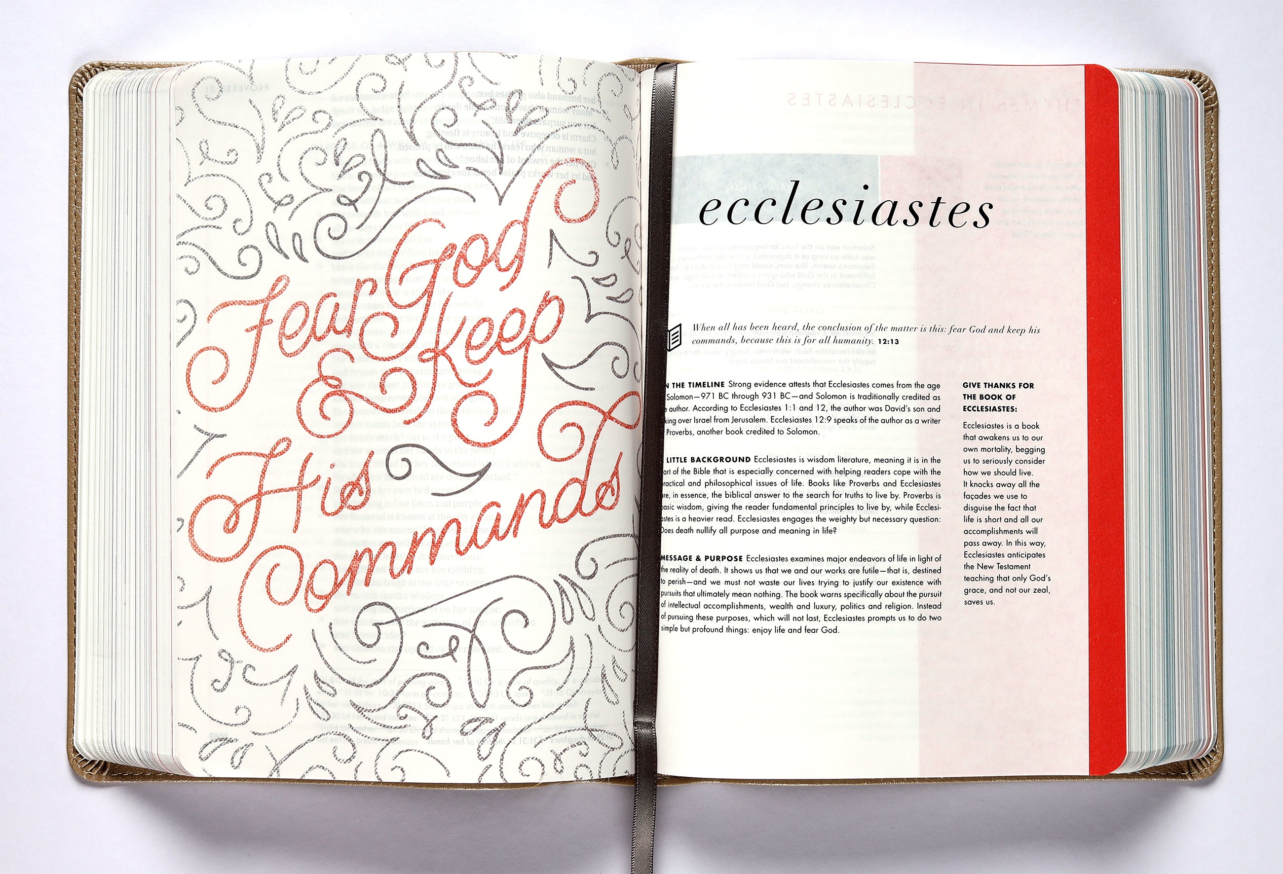 CSB She Reads Truth Bible Rose Gold