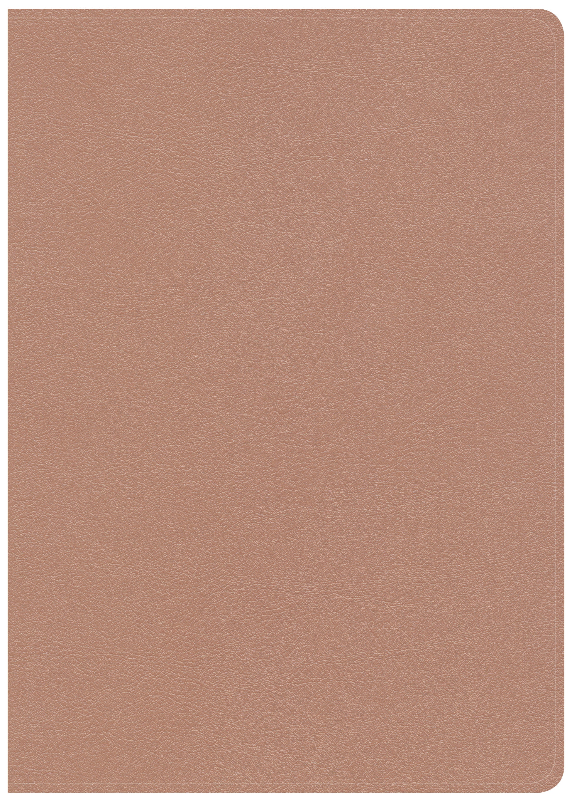 CSB She Reads Truth Bible Rose Gold Indexed
