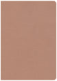 CSB She Reads Truth Bible Rose Gold Indexed
