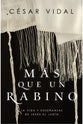 Mas Que Un Rabino: La Vida Y Ensenanzas De Jesus El Judio (Spanish)