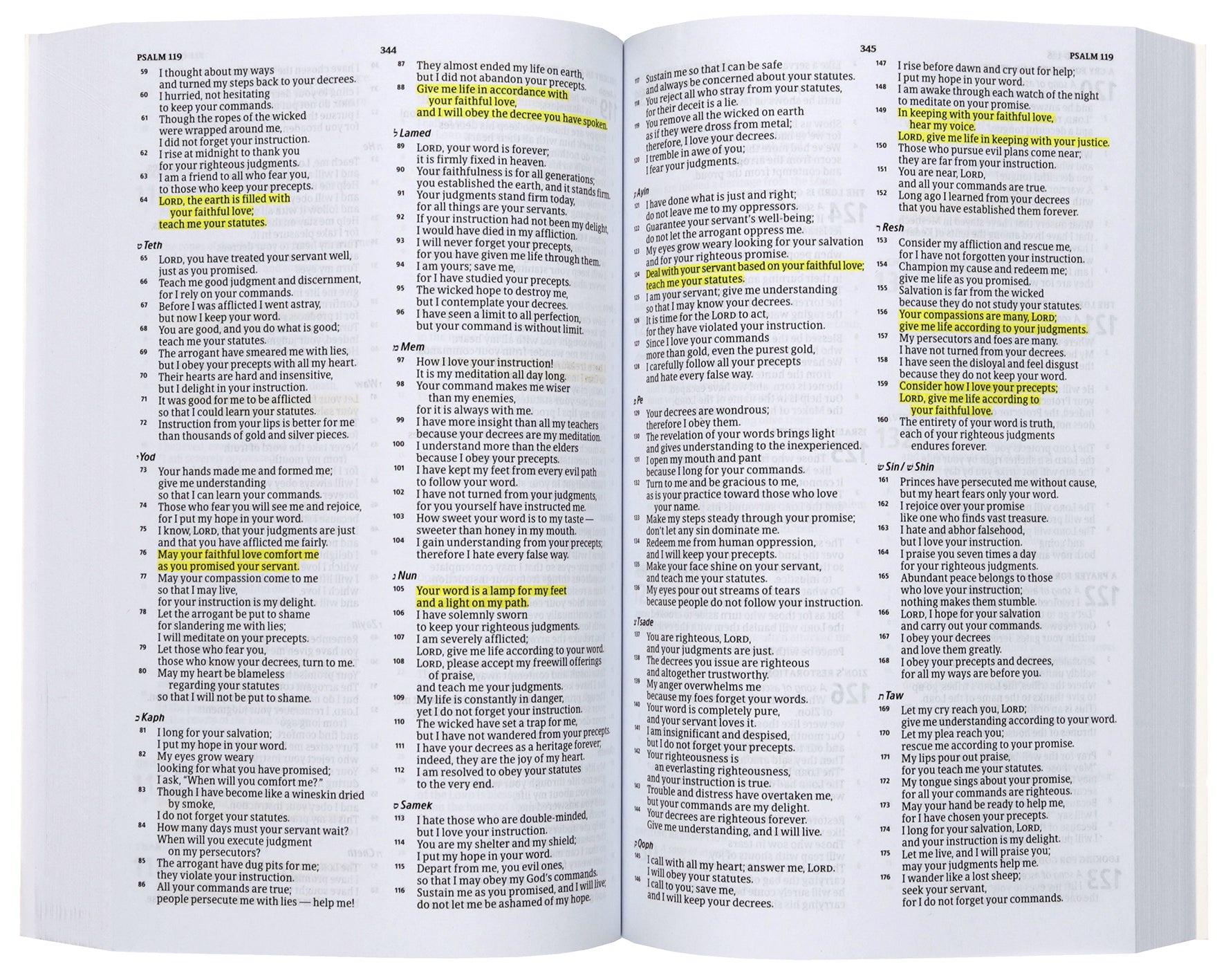 CSB God Loves You Bible For Kids