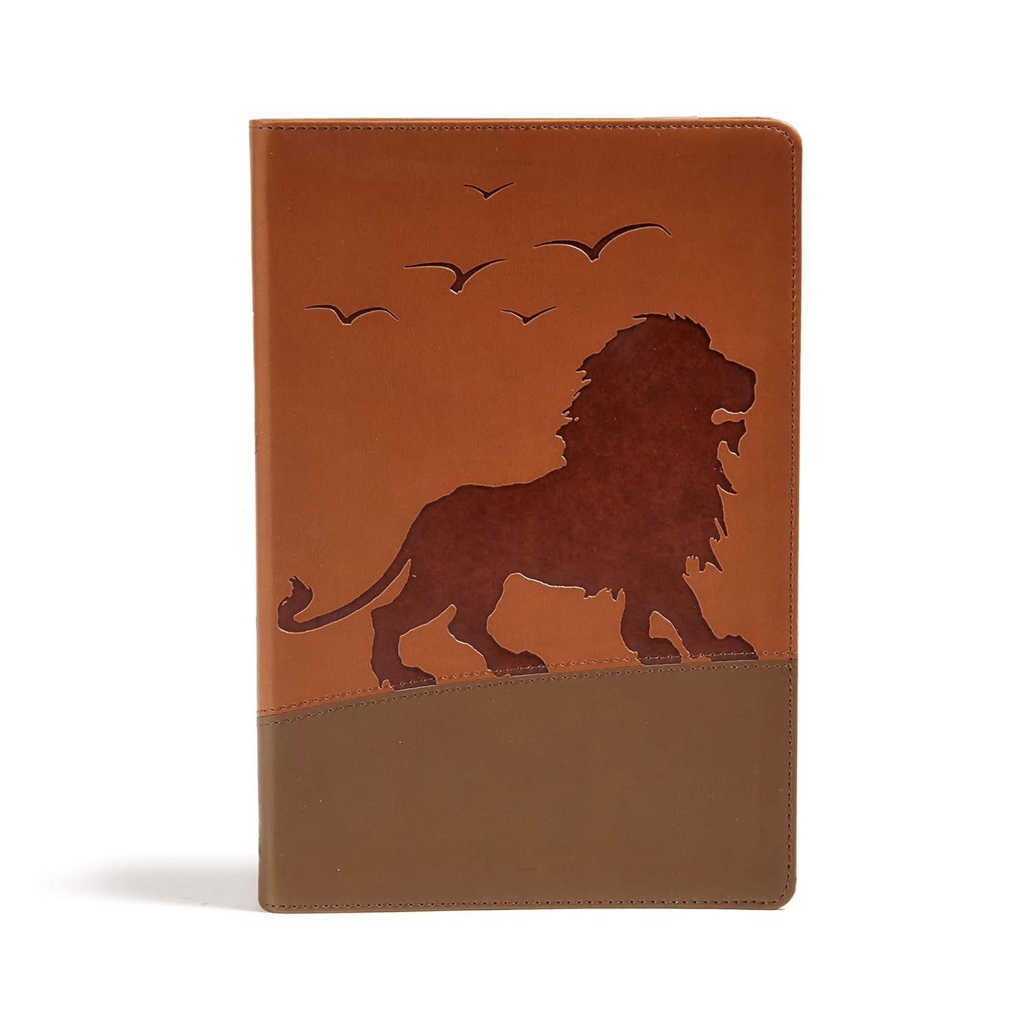 KJV One Big Story Bible Brown Lion
