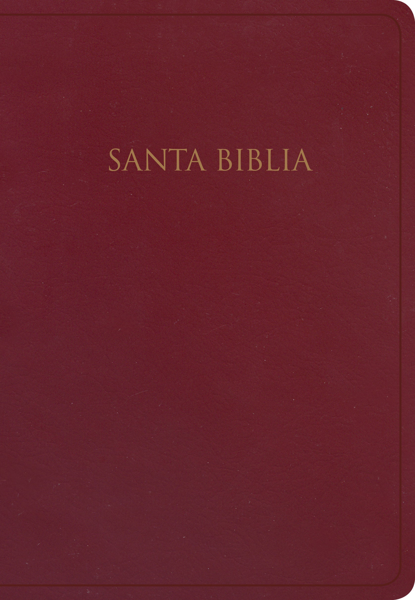 Rvr 1960 Biblia Para Regalos Y Premios, Borgoa (Burgundy)