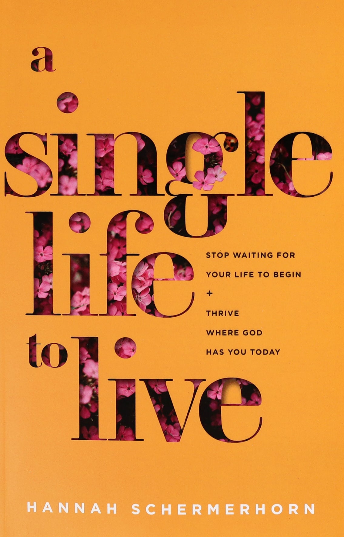 A Single Life to Live: Stop Waiting For Your Life to Begin and Thrive Where God Has You Today