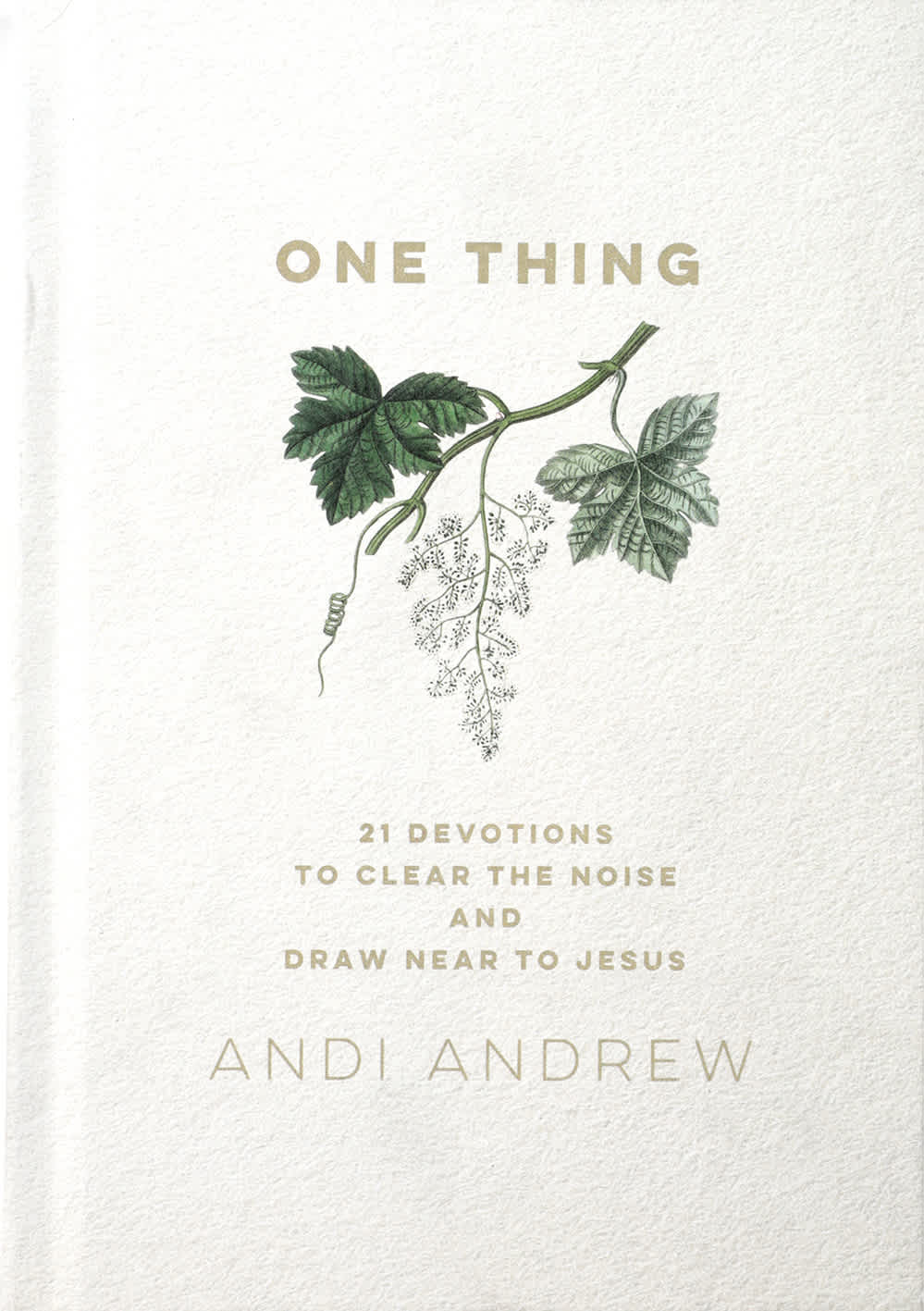 One Thing: 21 Devotions to Clear the Noise and Draw Near to Jesus