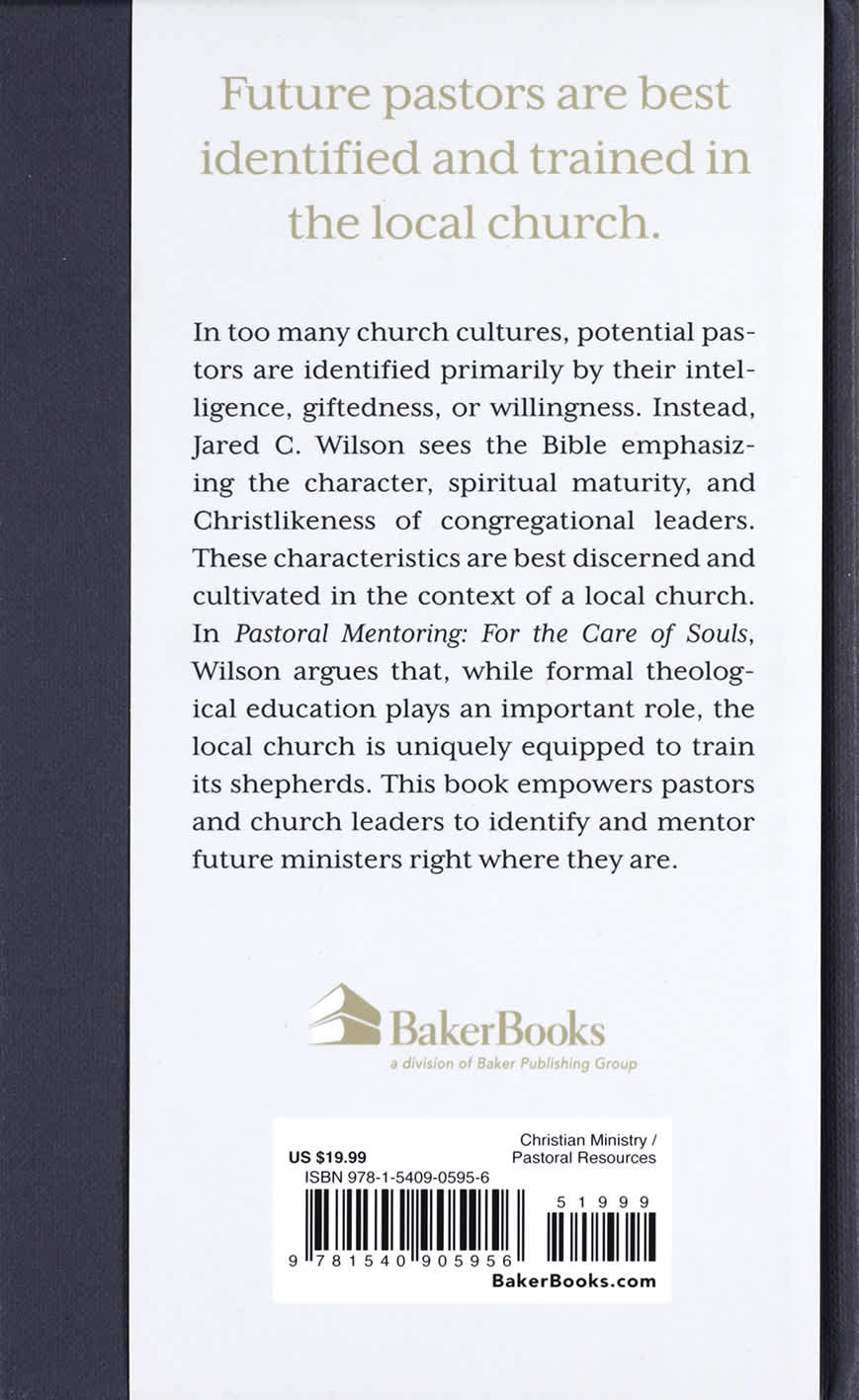 Pastoral Mentoring: For the Care of Souls