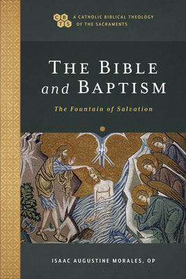 The Bible and Baptism: The Fountain of Salvation (Catholic Biblical Theology Of The Sacraments Series)
