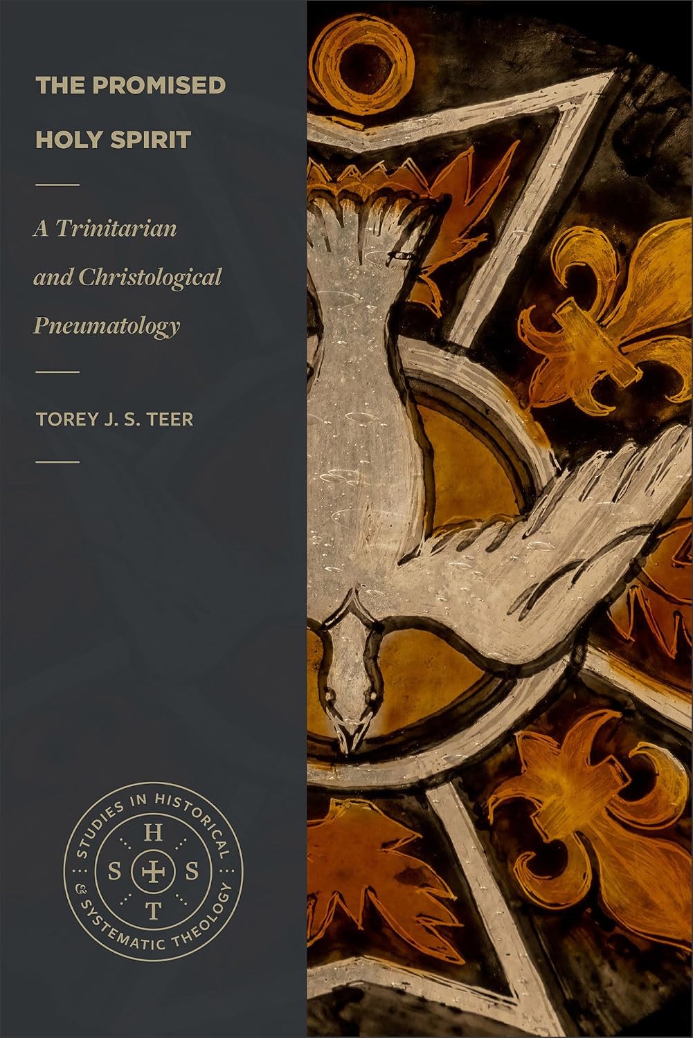 The Promised Holy Spirit: A Trinitarian and Christological Pneumatology (Studies In Historical And Systematic Theology Series)