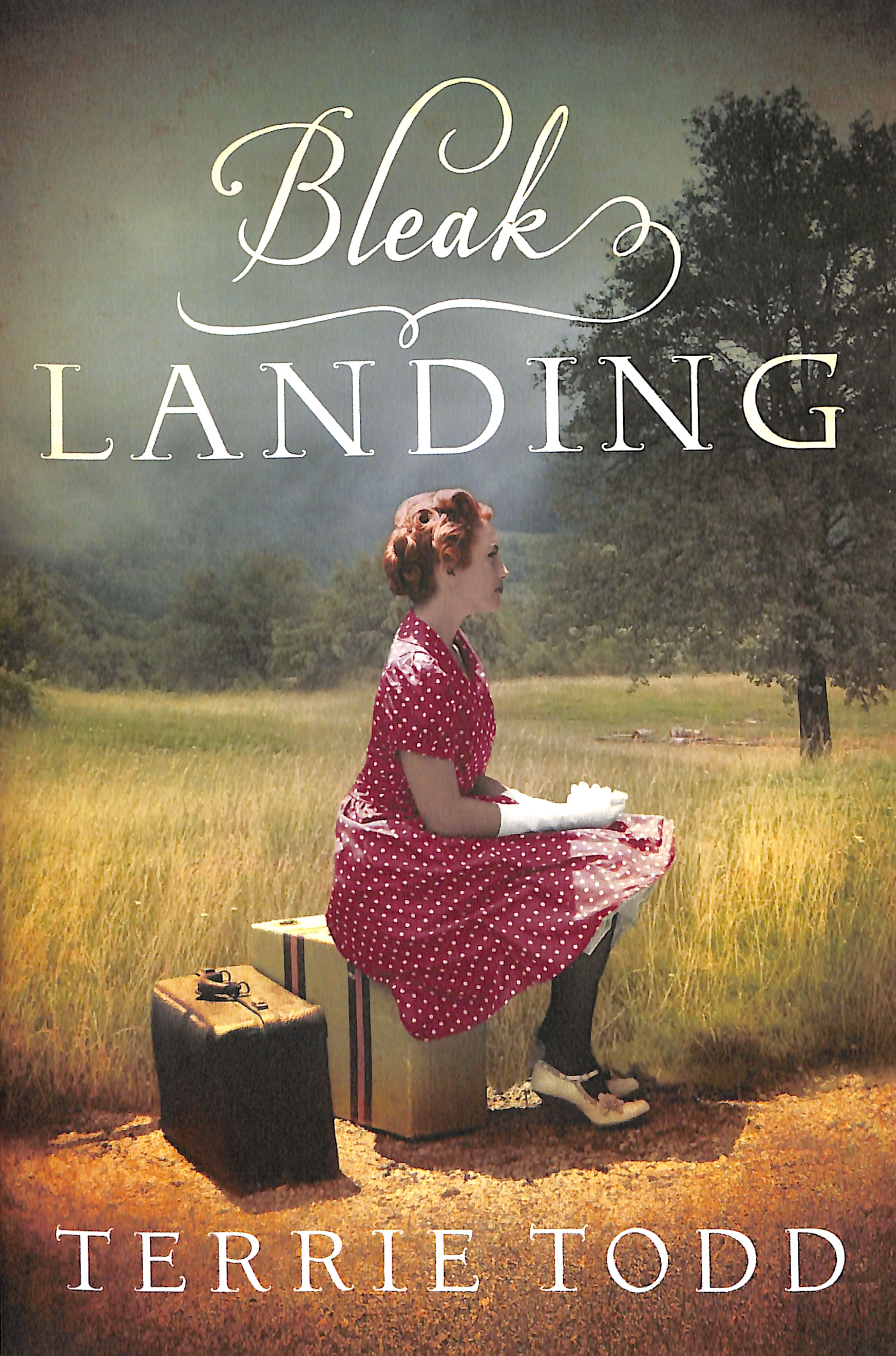 Bleak Landing