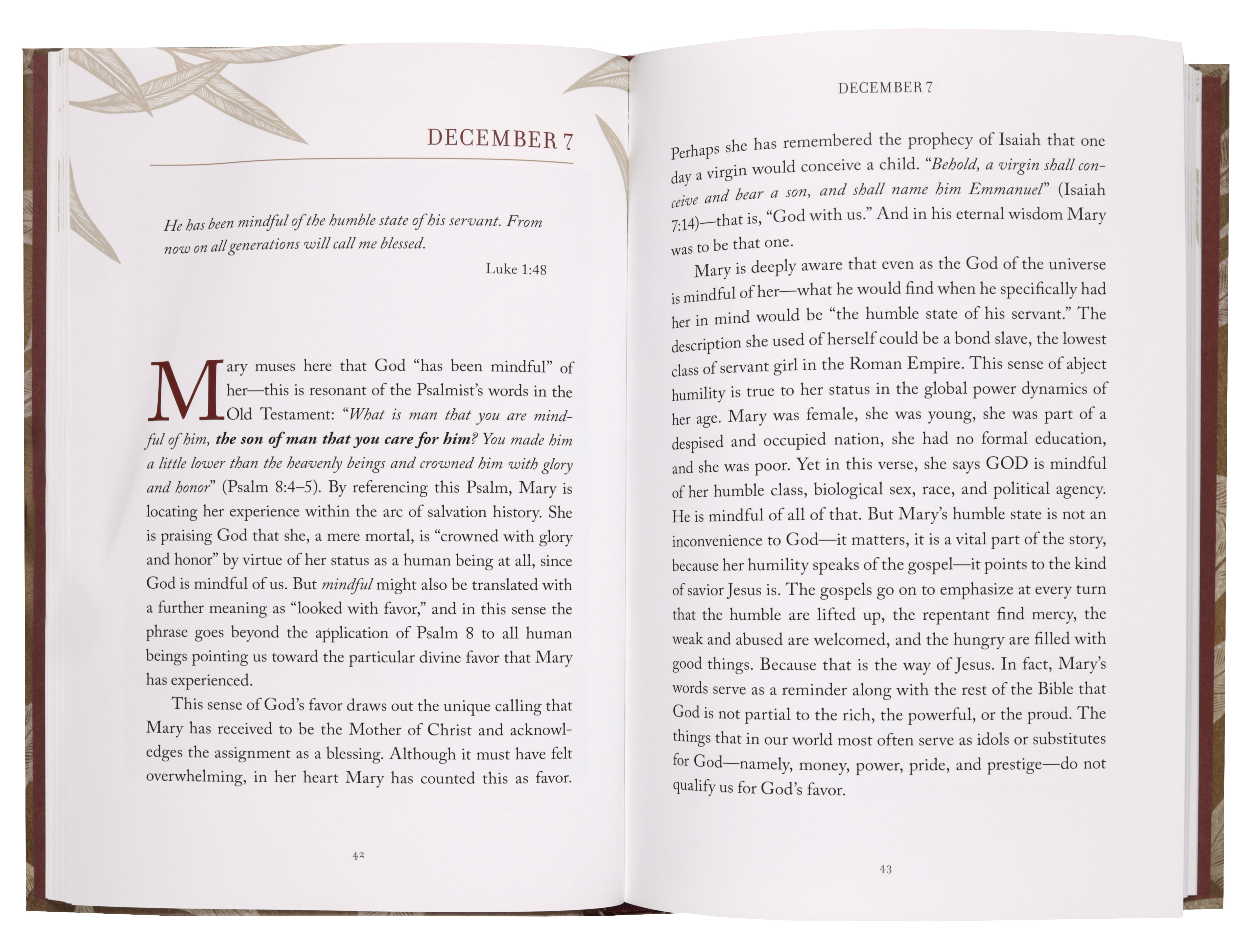 Mary's Voice: Advent Reflections to Contemplate the Coming of Christ