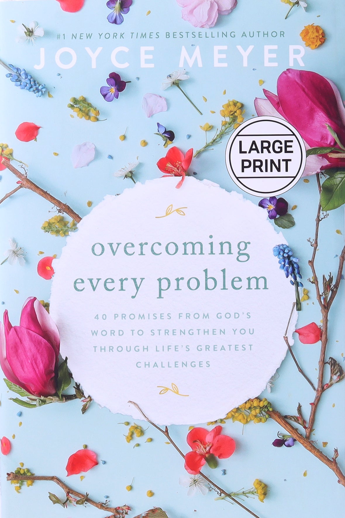 Overcoming Every Problem: 40 Promises From God's Word to Strengthen You Through Life's Greatest Challenges (Large Print)