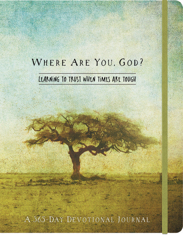 Where Are You, God: Learning to Trust When Times Are Tough