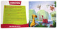 Laugh and Grow Bible For Little Ones: The Gospel in 15-Minute Bible Stories