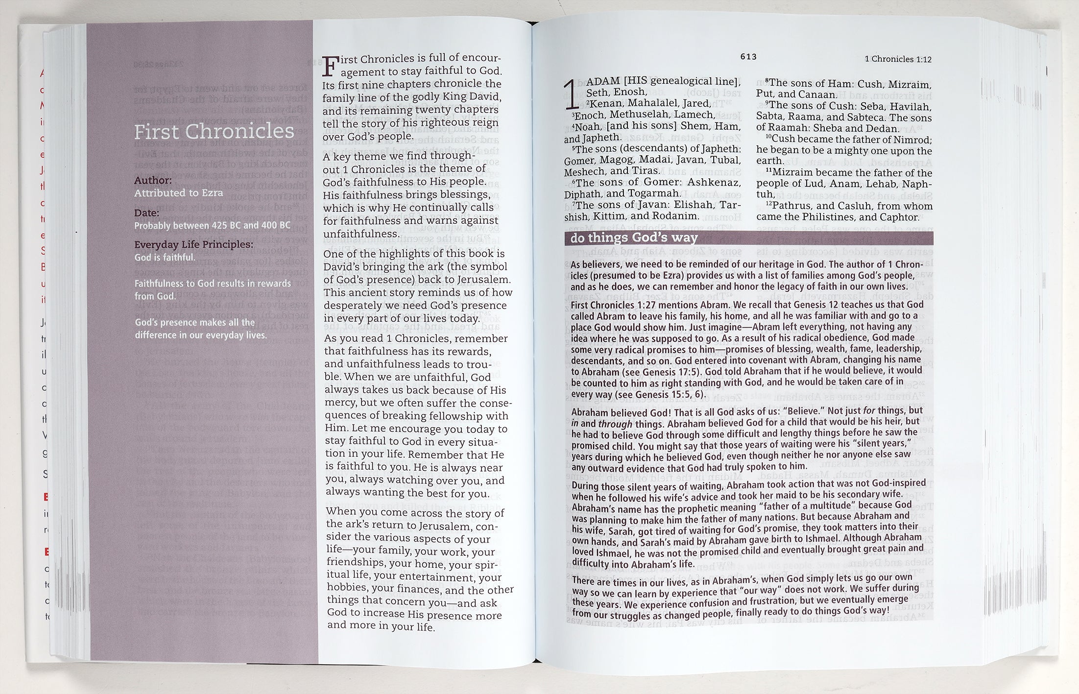 Amplified The Everyday Life Bible Large Print (Black Letter Edition)