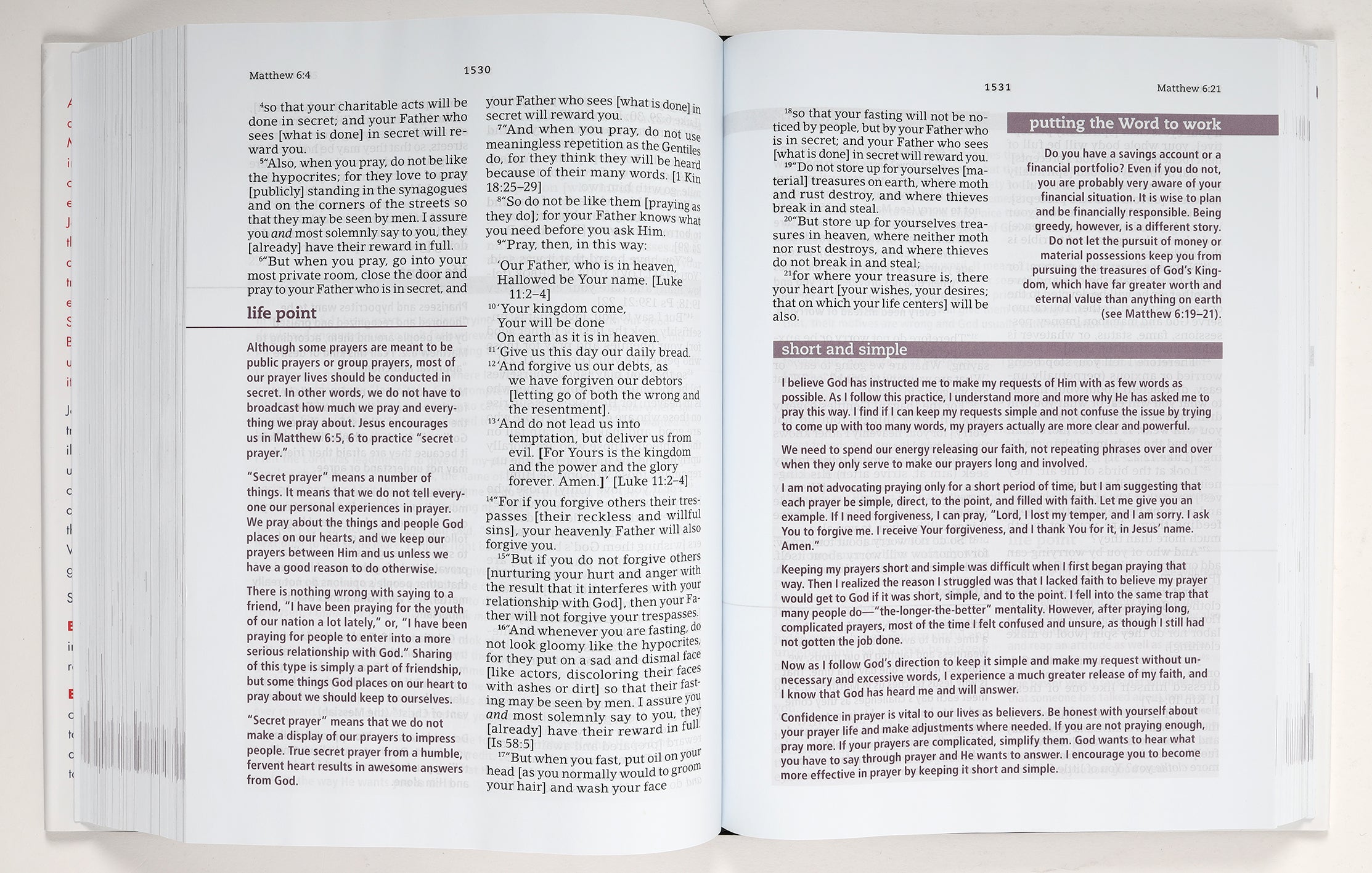 Amplified The Everyday Life Bible Large Print (Black Letter Edition)