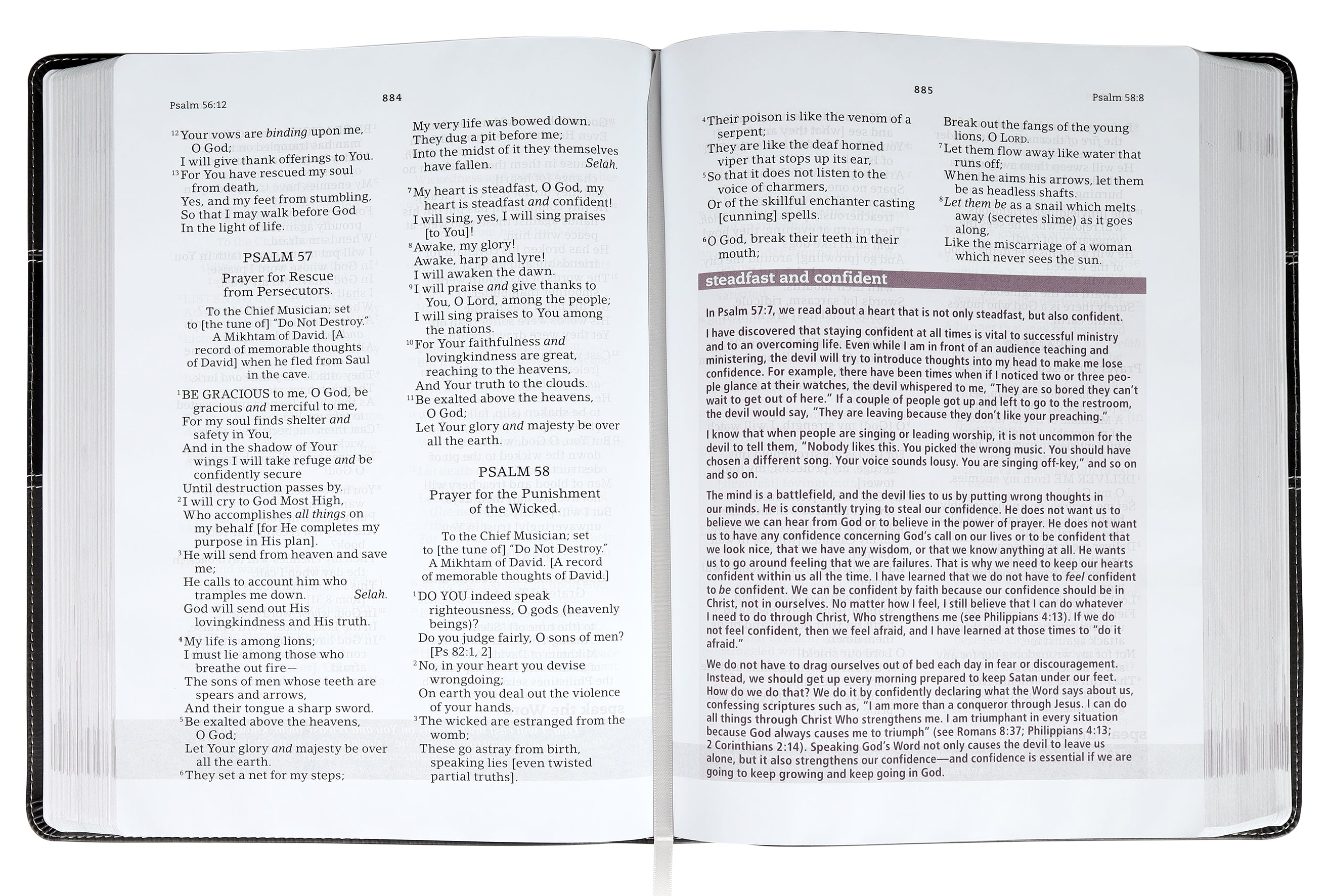Amplified The Everyday Life Bible Large Print Black  (Black Letter Edition)