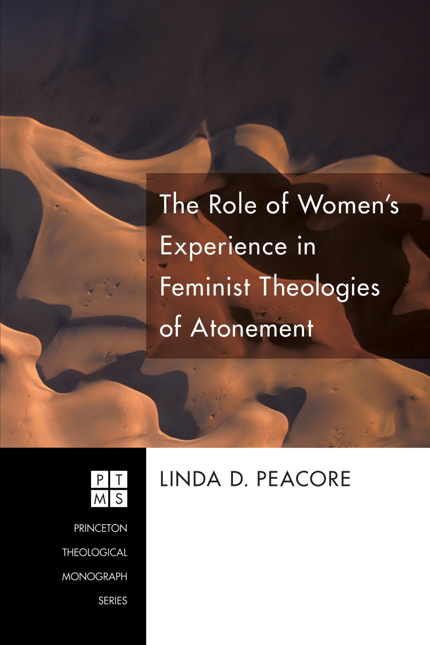 The Role of Women's Experience in Feminist Theologies of Atonement (Princeton Theological Monograph Series)